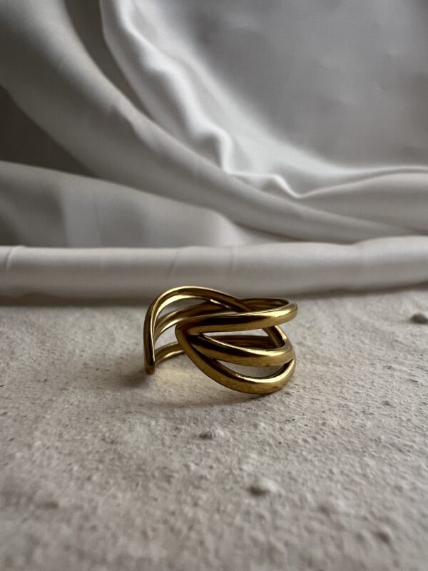 Double Layered Ring - Image 4