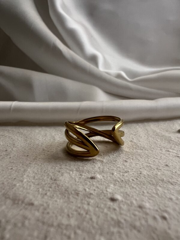 Double Layered Ring - Image 3