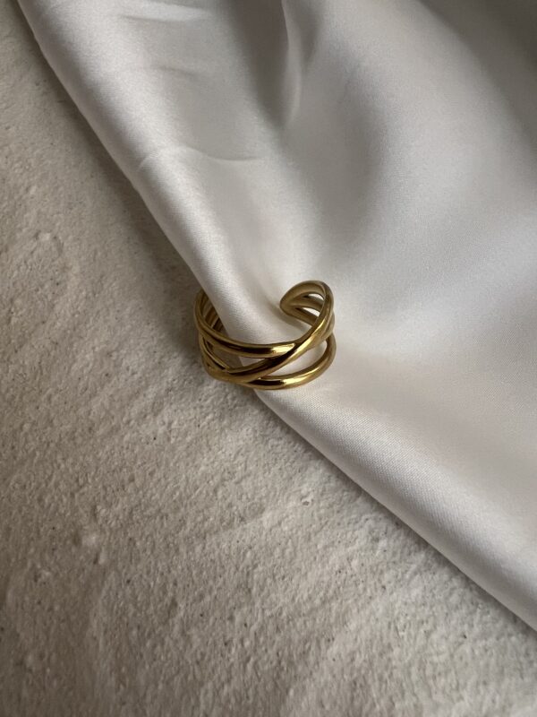 Double Layered Ring - Image 2