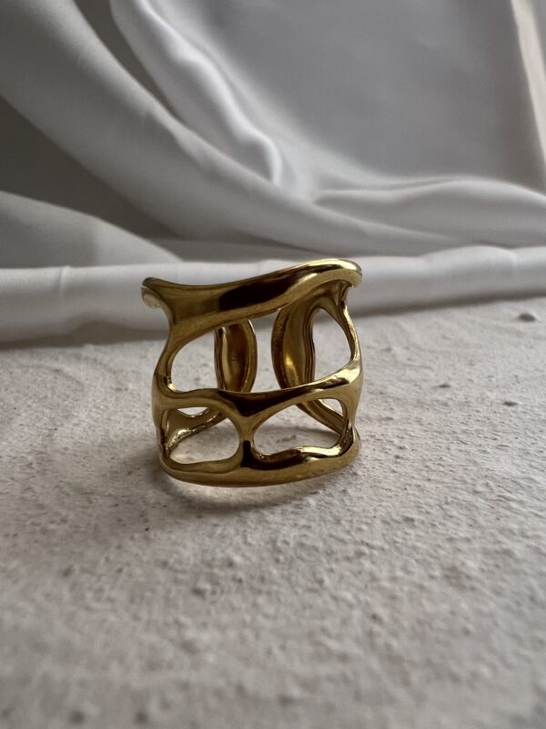 Big Bone Ring - Image 2