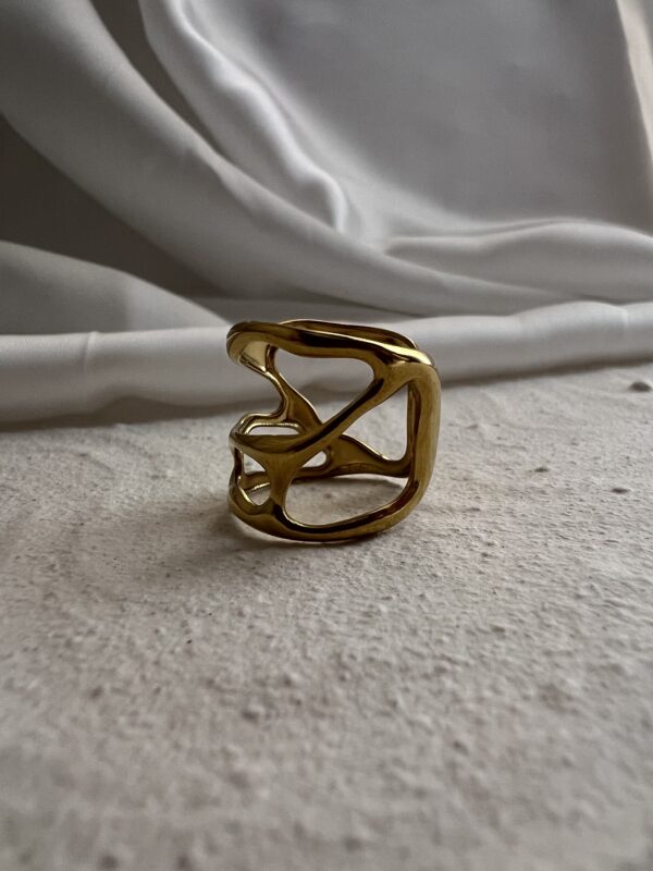 Big Bone Ring - Image 3
