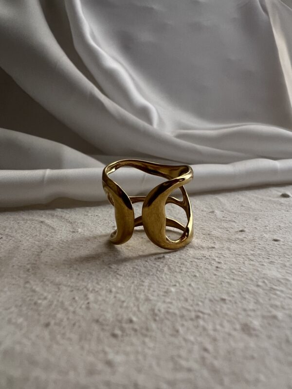 Big Bone Ring - Image 4