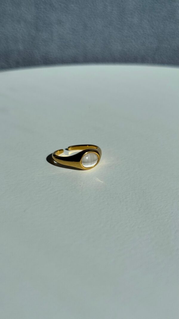 Round Shell Stone Ring - Image 5