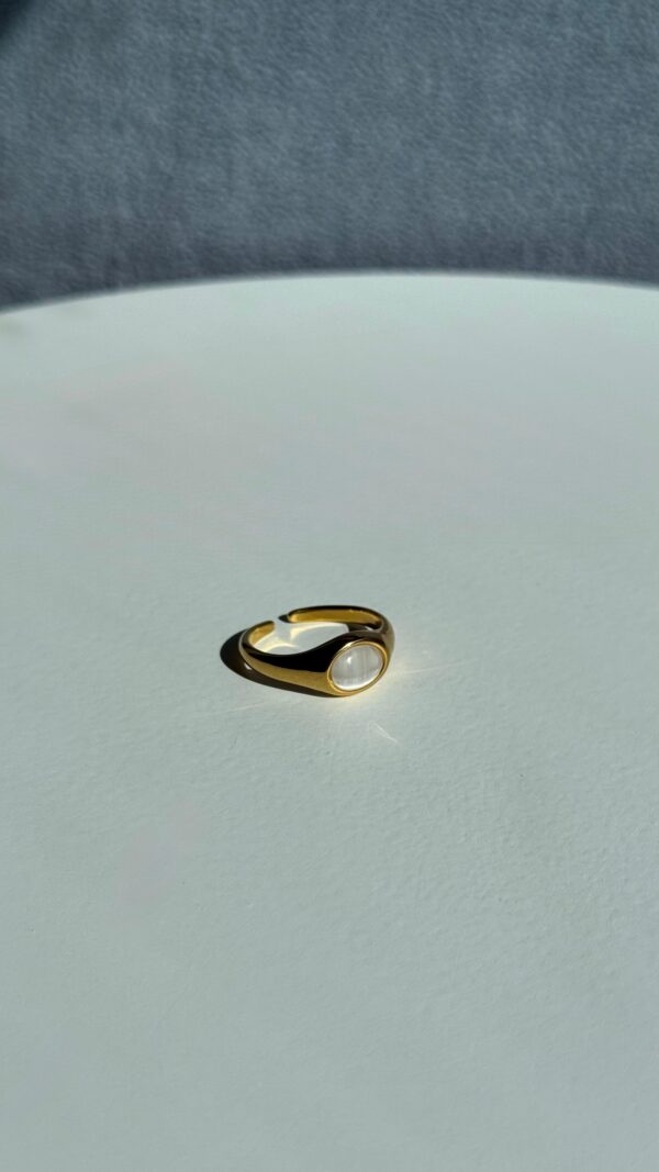 Round Shell Stone Ring - Image 4